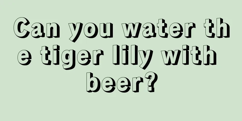 Can you water the tiger lily with beer?