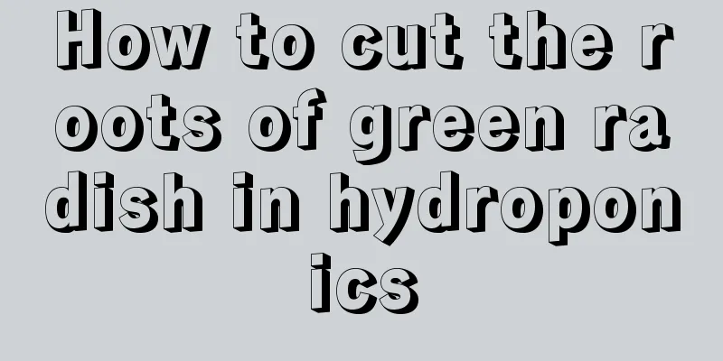 How to cut the roots of green radish in hydroponics