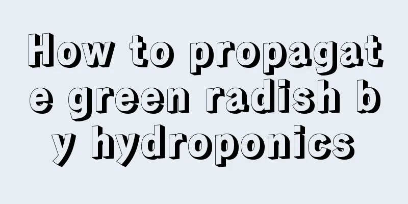 How to propagate green radish by hydroponics