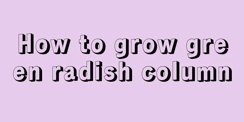 How to grow green radish column