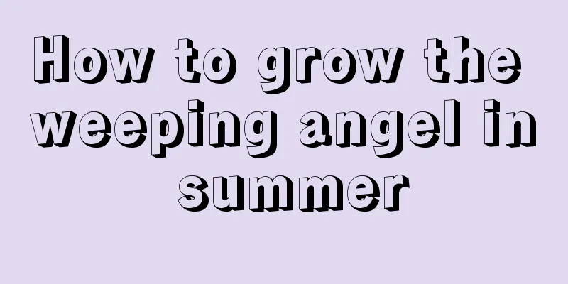 How to grow the weeping angel in summer