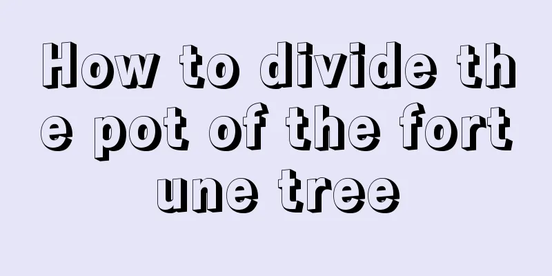 How to divide the pot of the fortune tree