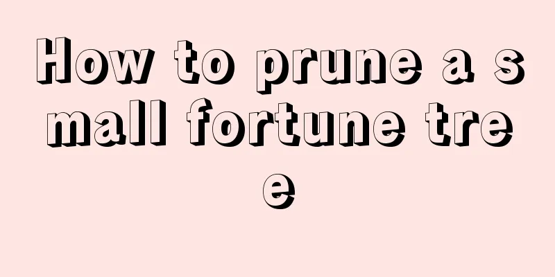 How to prune a small fortune tree