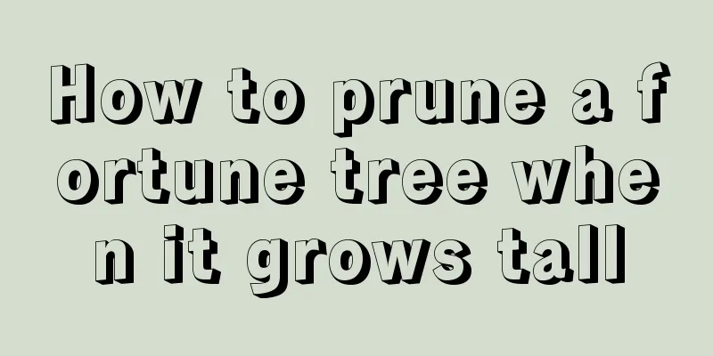 How to prune a fortune tree when it grows tall