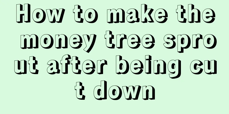 How to make the money tree sprout after being cut down