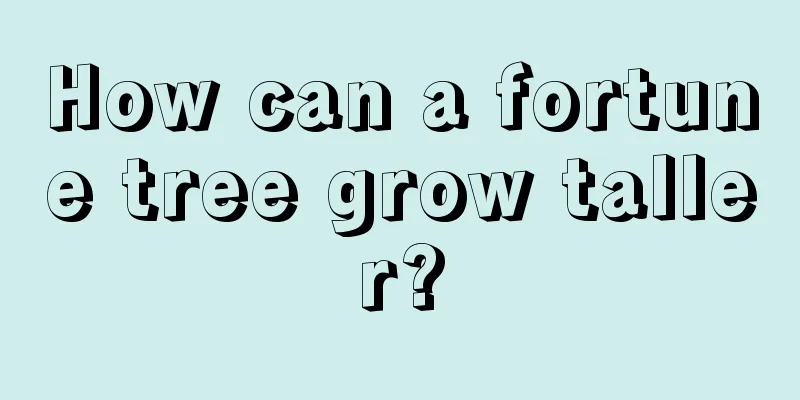 How can a fortune tree grow taller?