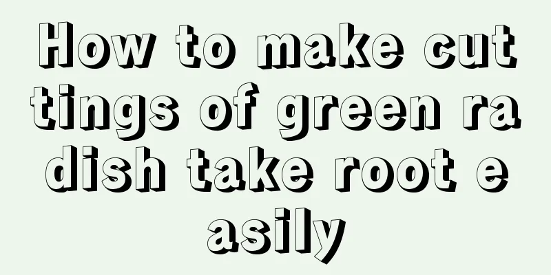 How to make cuttings of green radish take root easily