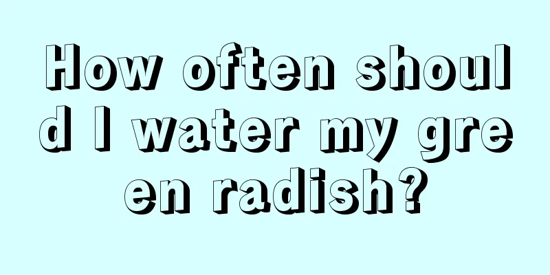 How often should I water my green radish?