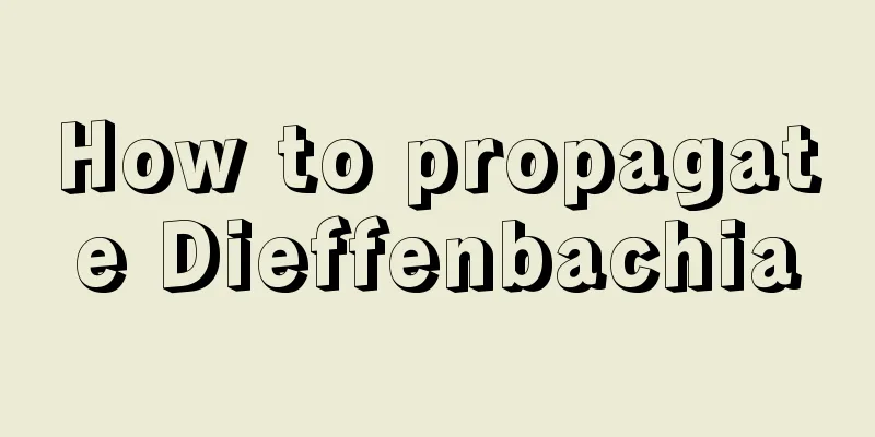 How to propagate Dieffenbachia