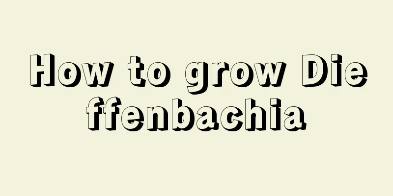 How to grow Dieffenbachia