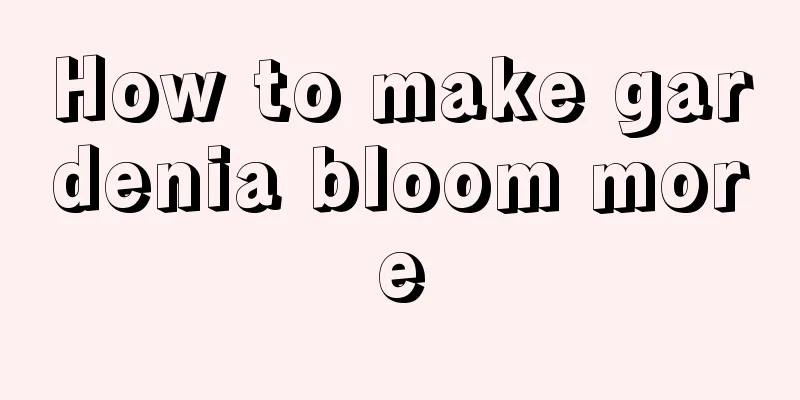 How to make gardenia bloom more