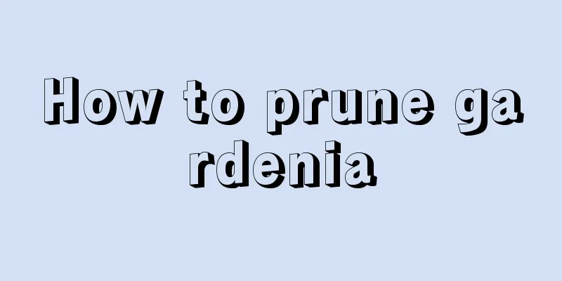 How to prune gardenia