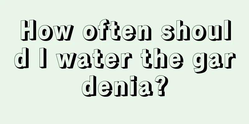 How often should I water the gardenia?