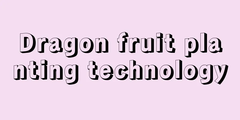 Dragon fruit planting technology