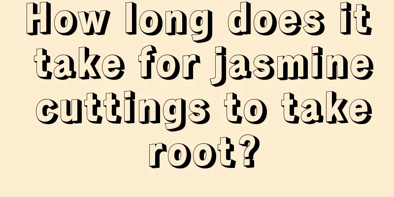 How long does it take for jasmine cuttings to take root?