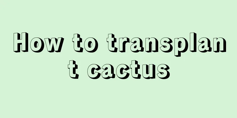 How to transplant cactus