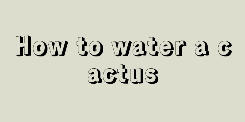 How to water a cactus