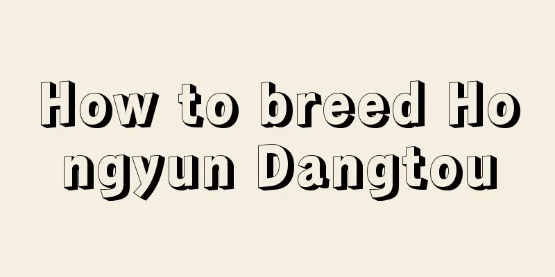 How to breed Hongyun Dangtou