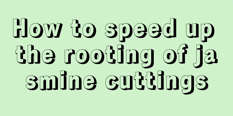 How to speed up the rooting of jasmine cuttings