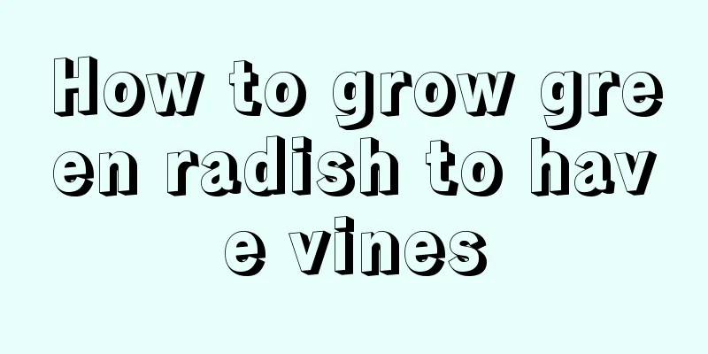 How to grow green radish to have vines