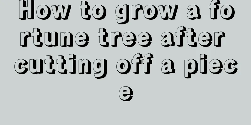 How to grow a fortune tree after cutting off a piece