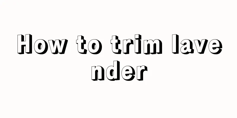 How to trim lavender