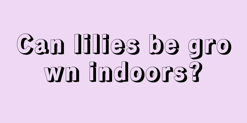 Can lilies be grown indoors?