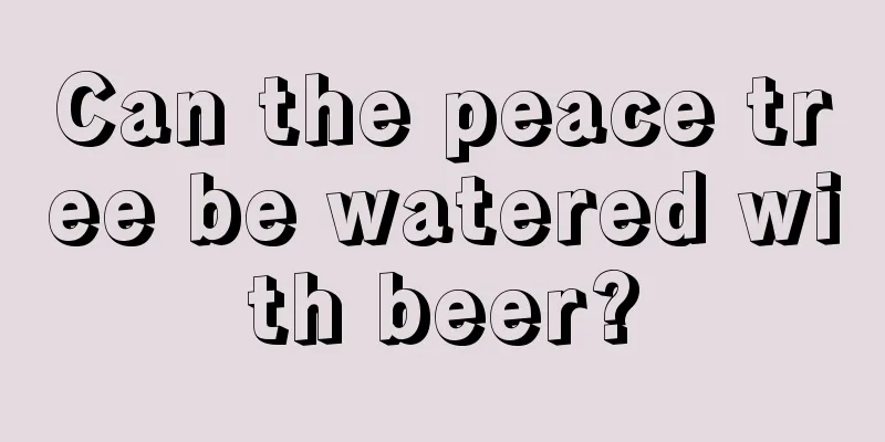 Can the peace tree be watered with beer?