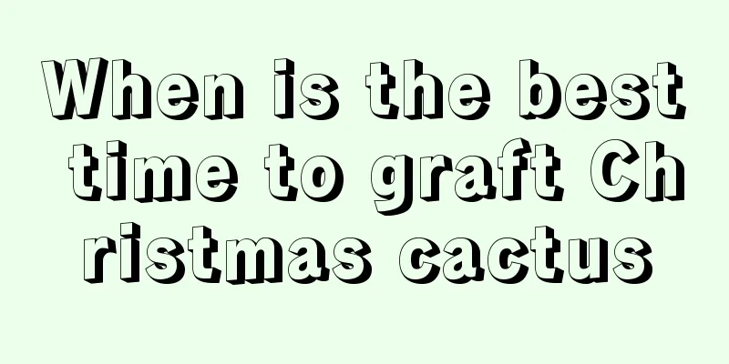 When is the best time to graft Christmas cactus