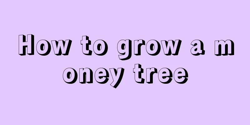 How to grow a money tree