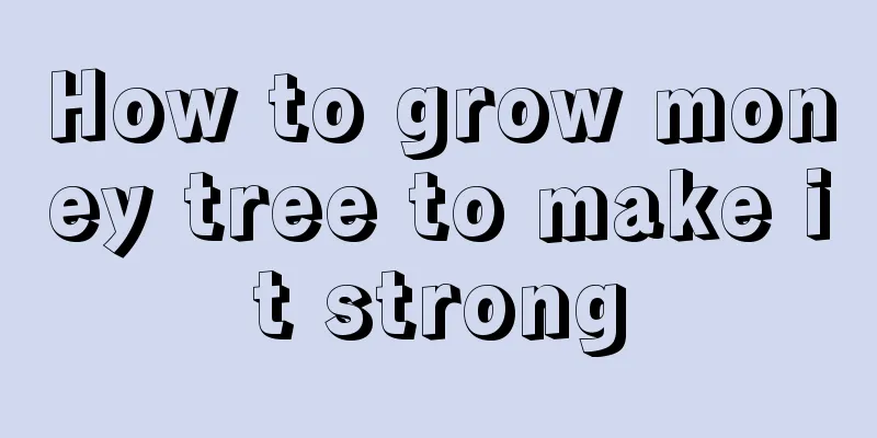 How to grow money tree to make it strong