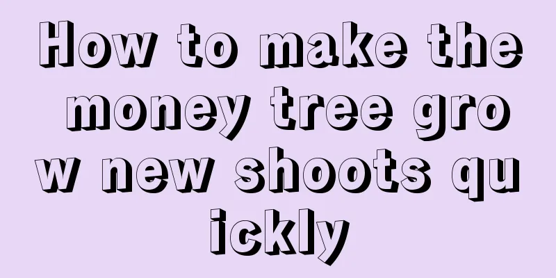 How to make the money tree grow new shoots quickly