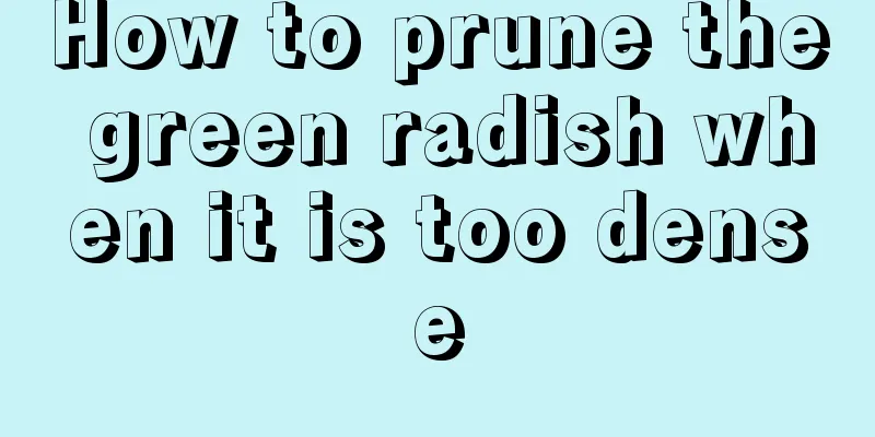 How to prune the green radish when it is too dense