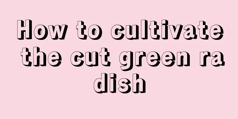 How to cultivate the cut green radish