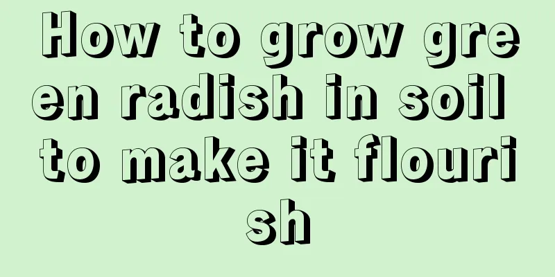 How to grow green radish in soil to make it flourish