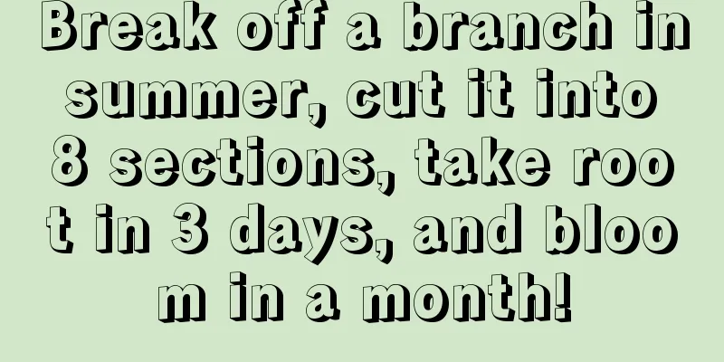 Break off a branch in summer, cut it into 8 sections, take root in 3 days, and bloom in a month!