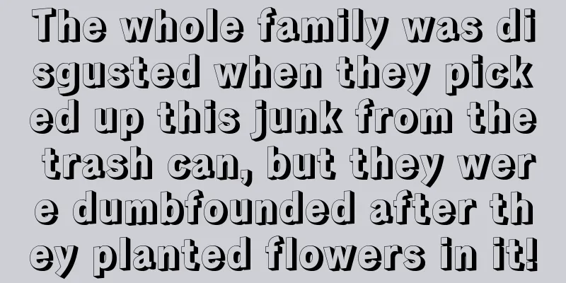 The whole family was disgusted when they picked up this junk from the trash can, but they were dumbfounded after they planted flowers in it!