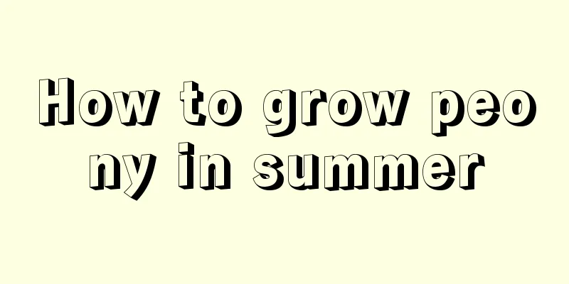 How to grow peony in summer