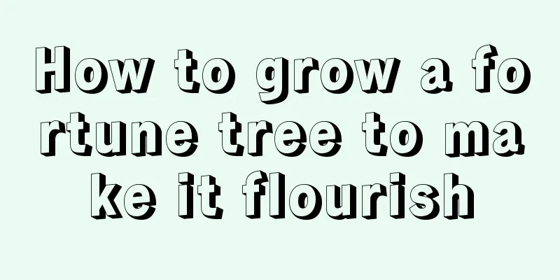 How to grow a fortune tree to make it flourish