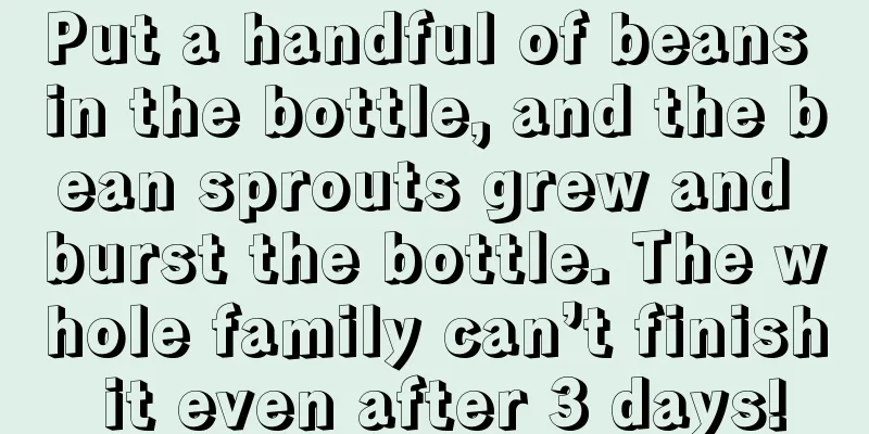 Put a handful of beans in the bottle, and the bean sprouts grew and burst the bottle. The whole family can’t finish it even after 3 days!