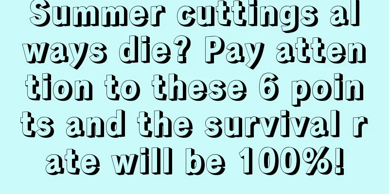 Summer cuttings always die? Pay attention to these 6 points and the survival rate will be 100%!