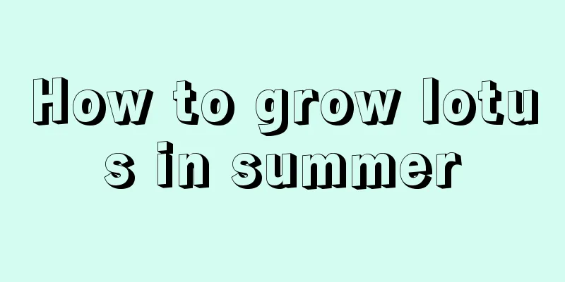 How to grow lotus in summer