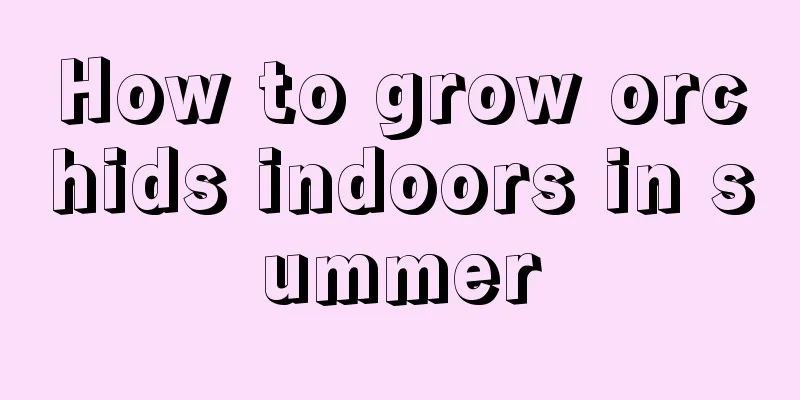 How to grow orchids indoors in summer