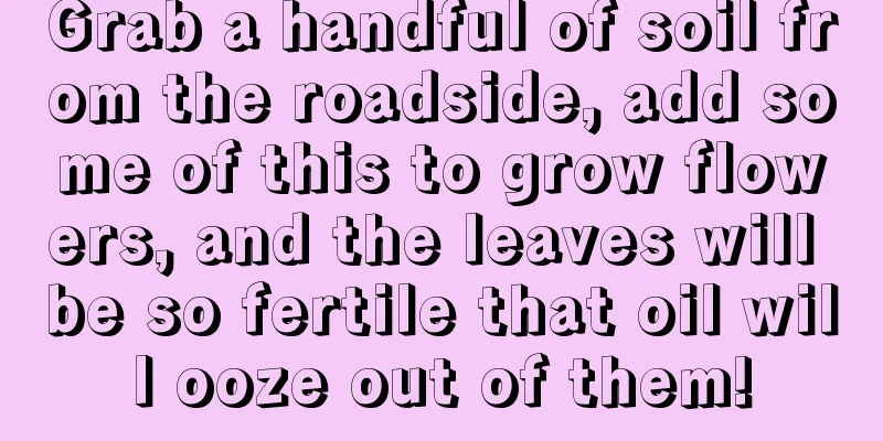 Grab a handful of soil from the roadside, add some of this to grow flowers, and the leaves will be so fertile that oil will ooze out of them!