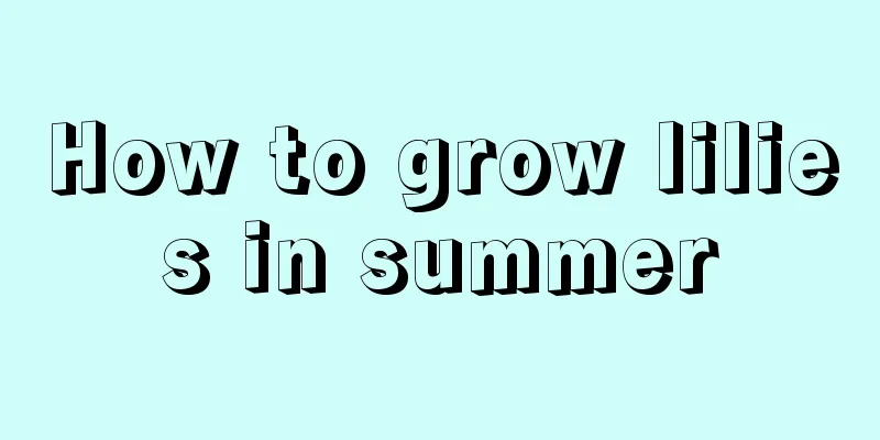 How to grow lilies in summer