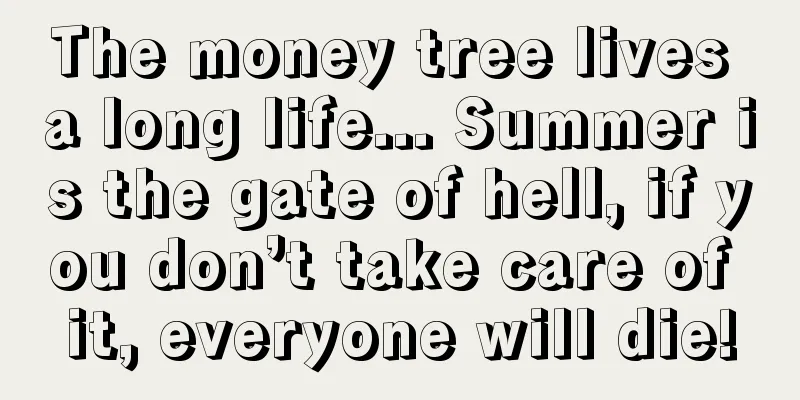 The money tree lives a long life... Summer is the gate of hell, if you don’t take care of it, everyone will die!