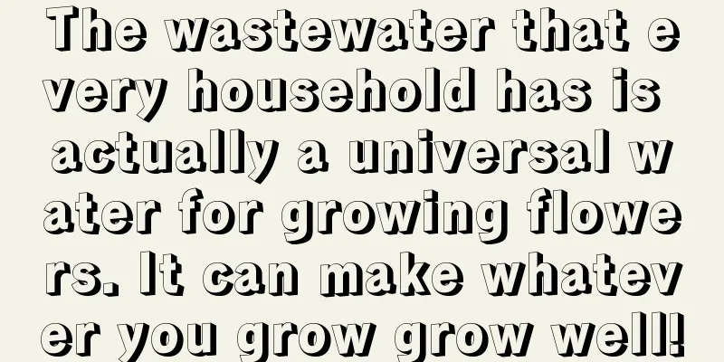 The wastewater that every household has is actually a universal water for growing flowers. It can make whatever you grow grow well!