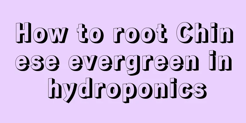 How to root Chinese evergreen in hydroponics