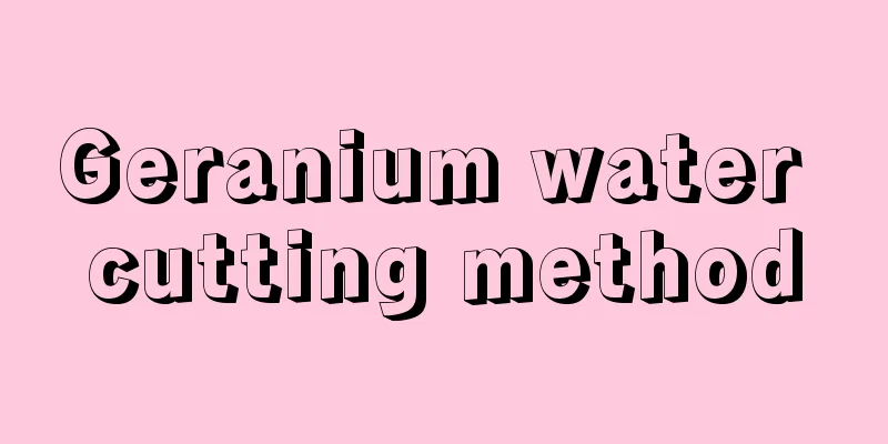 Geranium water cutting method