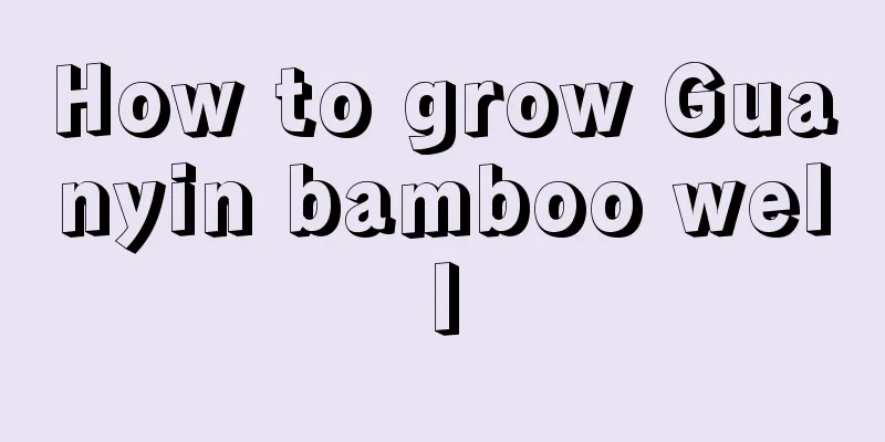 How to grow Guanyin bamboo well